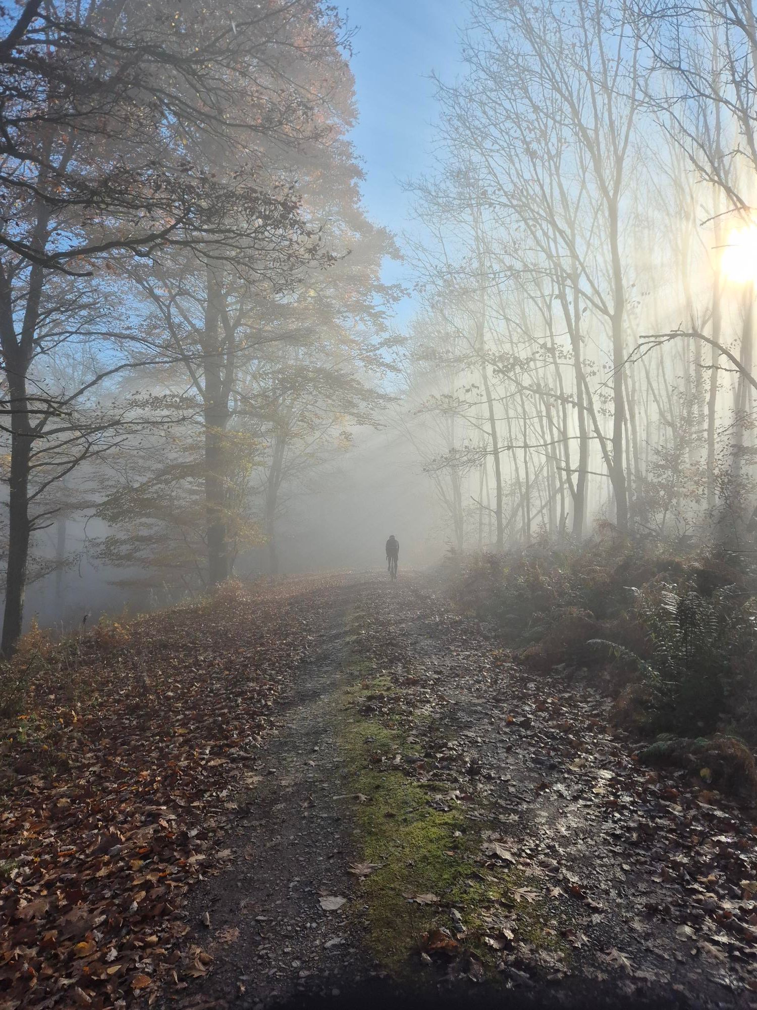 Impressionen von Projekt Karl 2025#4