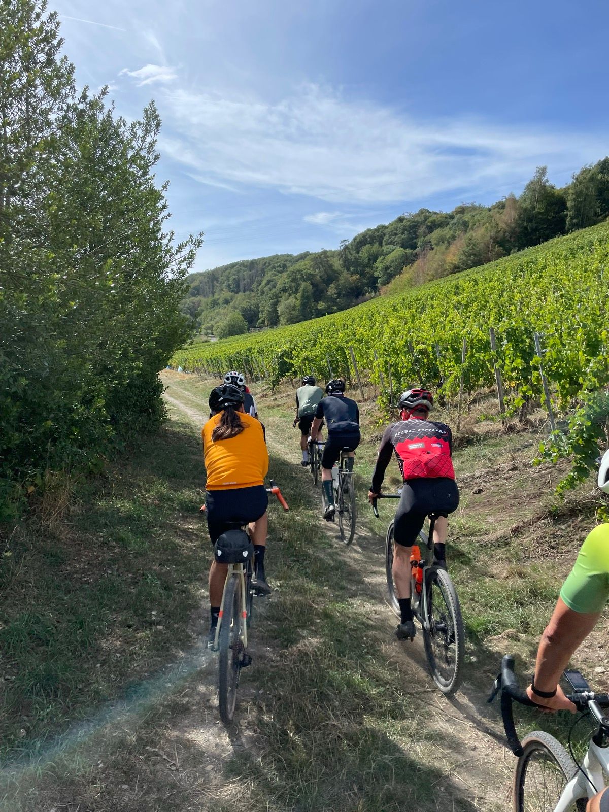 ExG_juOyw0LpoA54oHFSWgSwlYdPrL0YEyA9wEaULC0-1536x2048